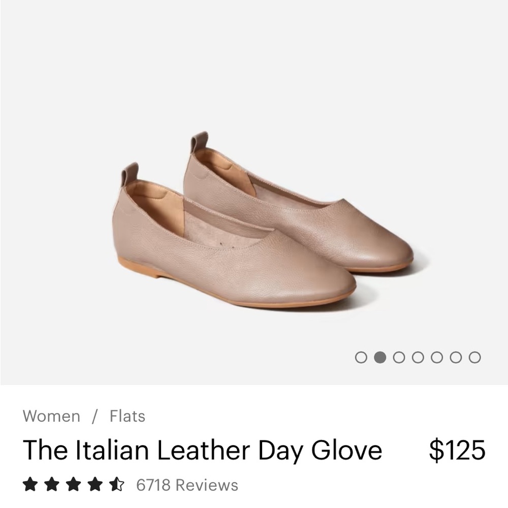 Everlane Italian Leather Day Glove Shoes